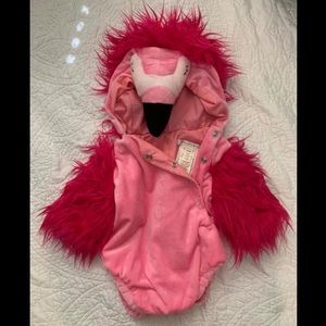 Pottery Barn Kids Infant Flamingo Costume